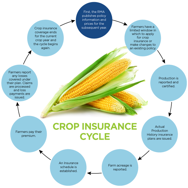 Agriculture Crop Insurance Guide for Missouri and Iowa Farms