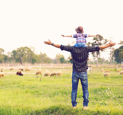 Father and child in field with cows.