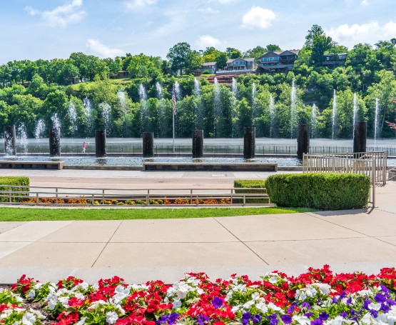 image of a park with flowers, a fountain spurting water