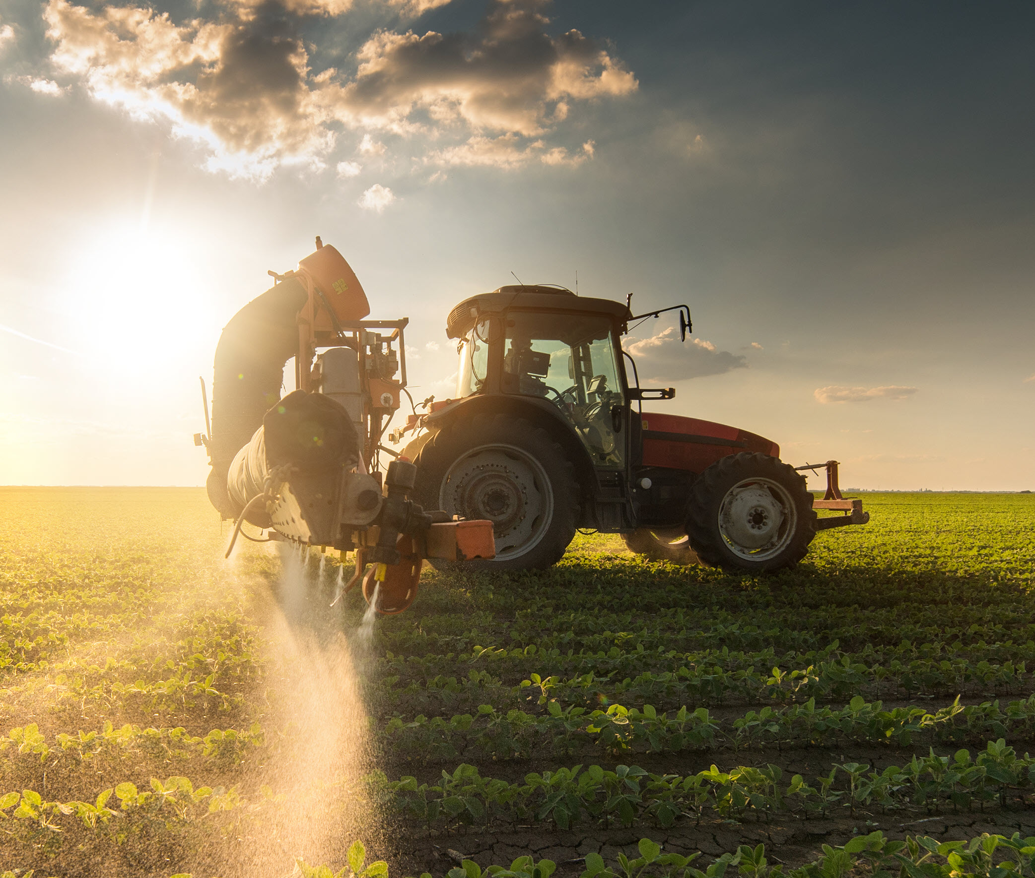 Tractor in field.