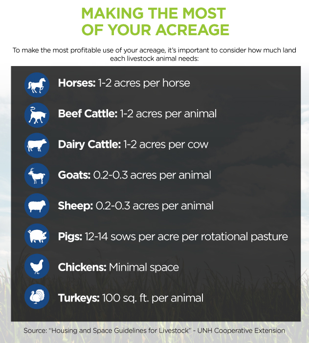 Ideas For Diversifying Your Cattle Farm In Missouri - acreage per animal diagram