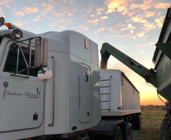 a semi takes on grain