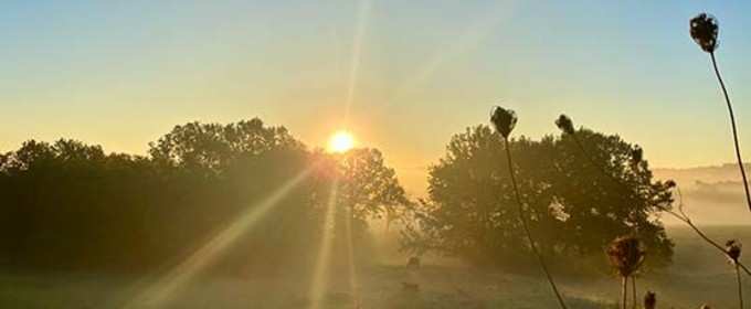 Sun rising over the trees in a misty field