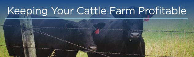cattle farm profitable banner