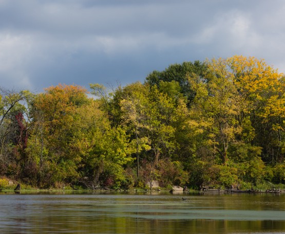 Image of a lake with trees starting to turn fall colors