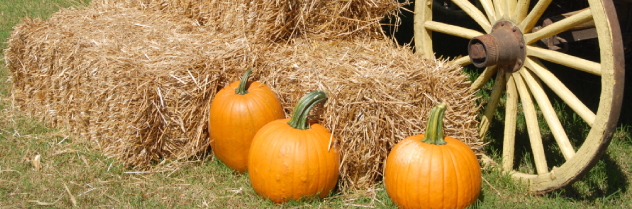 autumn hay and pumpkin arrangement