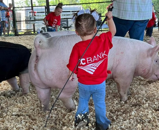 a little girl in a BTC Bank shirt shows off her pig