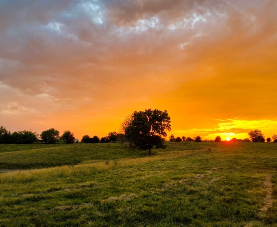 The sun sets over a prairie