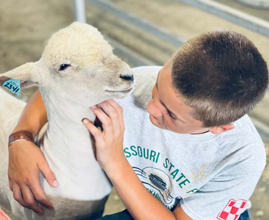 A kid and a lamb.
