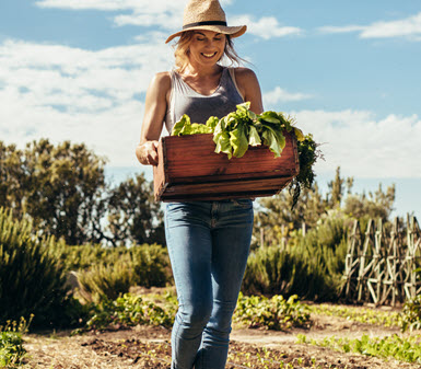 Woman at farm holding lettuce.